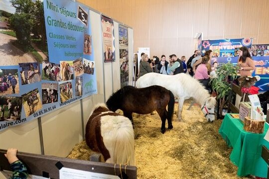 kidexpo lyon kidexpo lyon